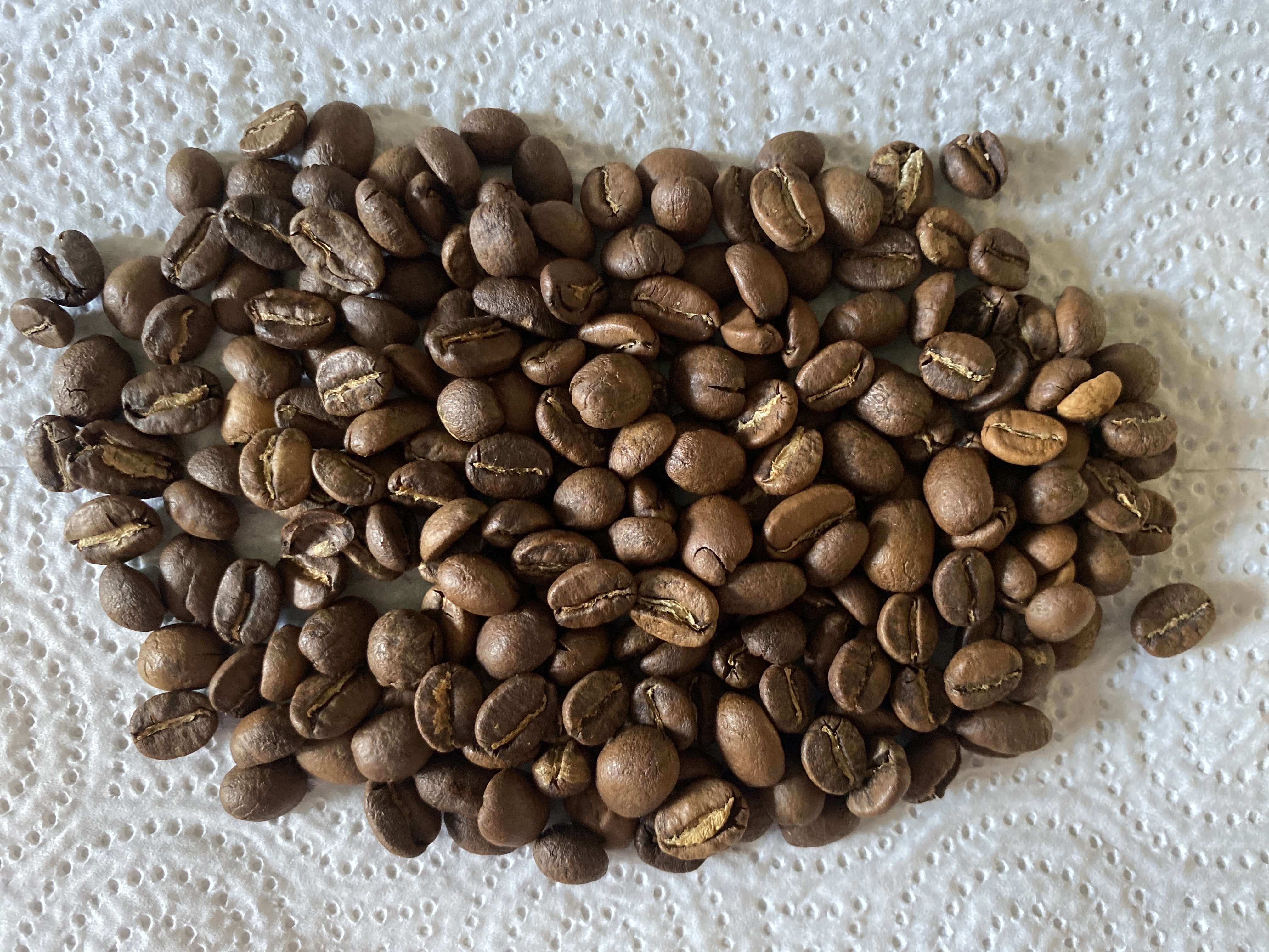 зерна, Etiopia.Forte.Club-del-cafe, Heirloom